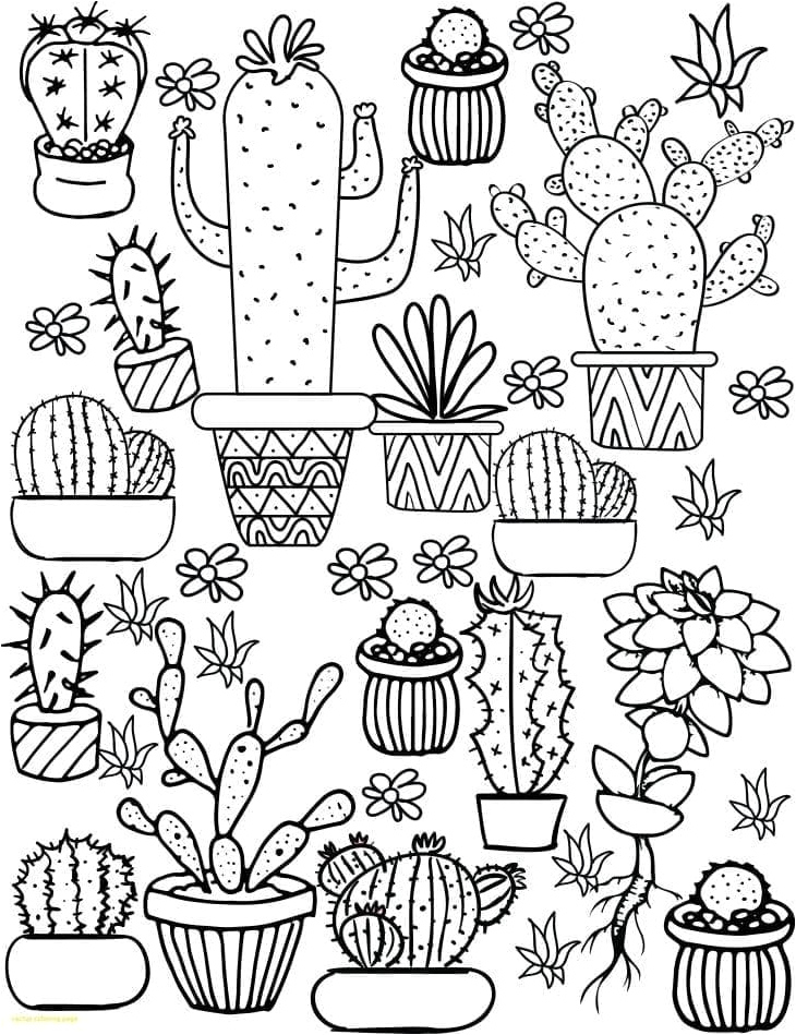Cactus Themed Artworks Coloring Page