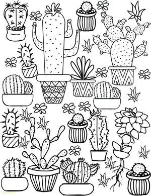 Cactus Themed Artworks