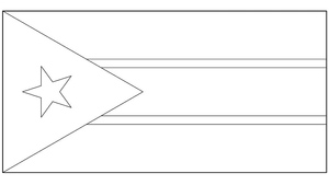 South Sudan Flag