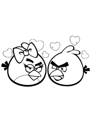 Couple of Angry Birds