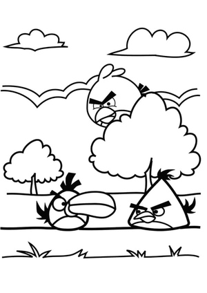 Three Angry Birds
