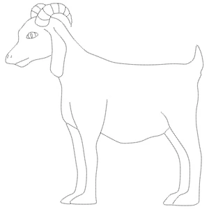 Goat Tracing Coloring Page Coloring Page