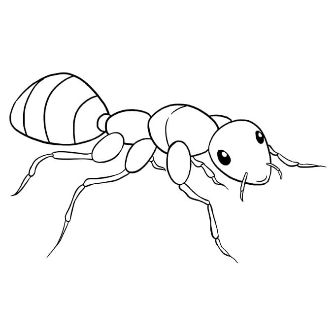 Fantastic Fire Ant Coloring Page
