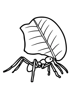 Leaf Cutter Ant Coloring Page