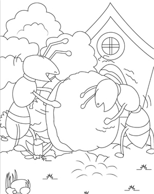 Pair of Ants