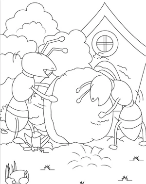 Pair of Ants Coloring Page