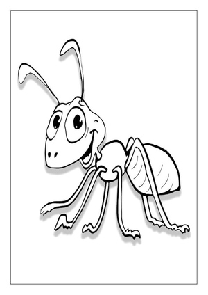 Quirky Ant