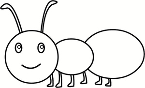 Ant