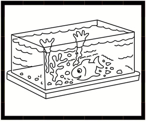 Aquarium with a Rectangular Shape
