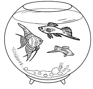 Creatures of the Aquarium Coloring Page