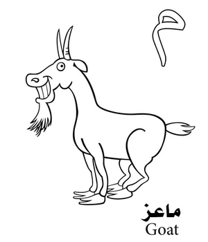 The letter م represents the word Goat in the Arabic Alphabet. Coloring Page