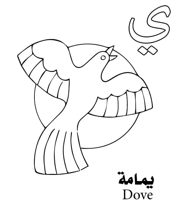 The letter ي stands for Dove in the Arabic Alphabet. Coloring Page