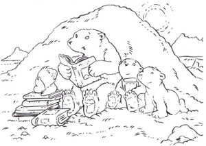 A Thrilling Night with Baby Bears