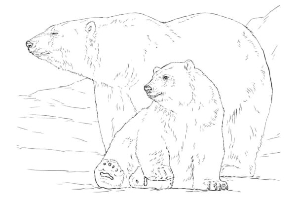 Bears Sunbathing Coloring Page
