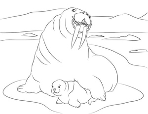 Mother and Baby Love