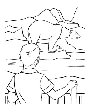 Observing Polar Bears Coloring Page