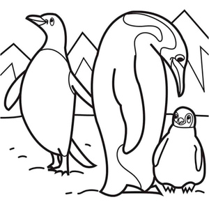 Penguins Celebrate under the Sun
