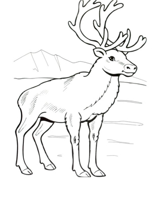 Regal Reindeer