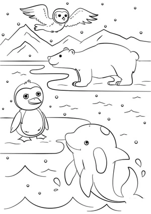 Representatives from the Arctic Animal Kingdom Coloring Page