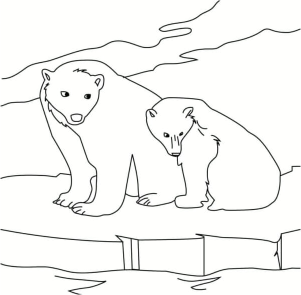 Two Bears Searching for Fish Coloring Page