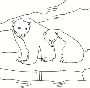 Two Bears Searching for Fish