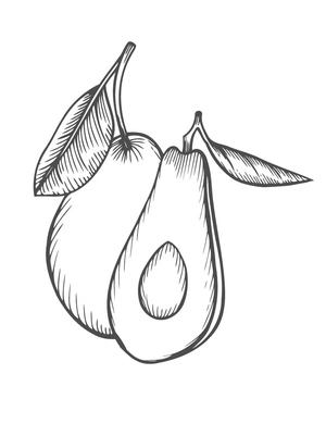 Kids Avocado Coloring Page Coloring Page