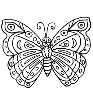 Beautiful Butterfly