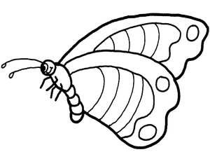 Free Butterfly Coloring Page for Kids