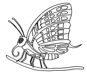 Free Butterfly Coloring Page