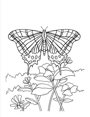 Garden of Butterflies and Flowers Coloring Page