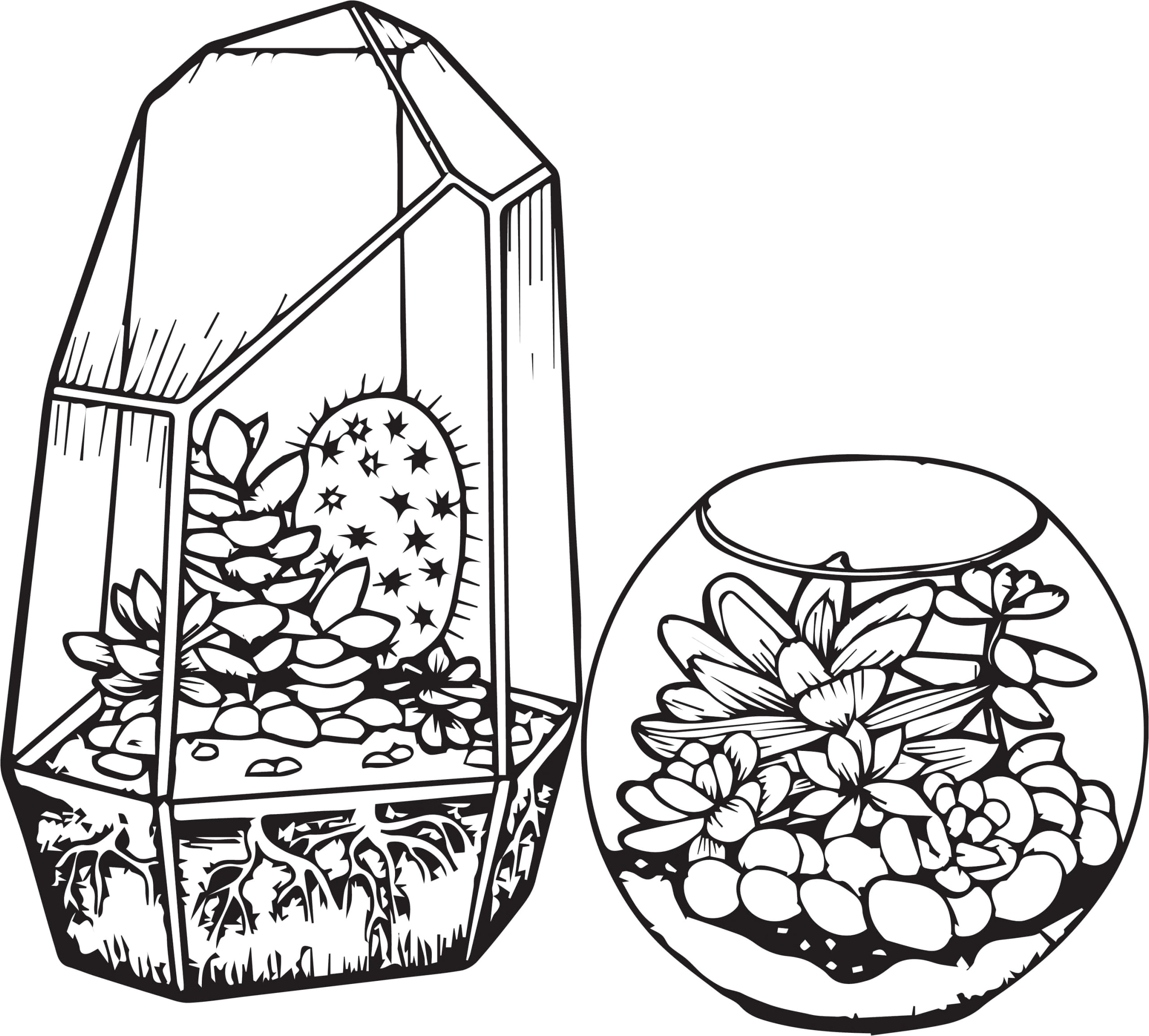 Cacti and Succulents Coloring Page