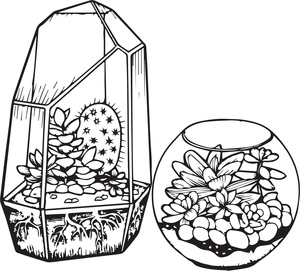 Cacti and Succulents
