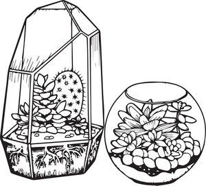 Cacti and Succulents Coloring Page