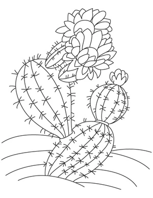 Flowering Cactus Coloring Page