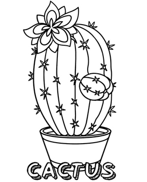 Image of a Potted Cactus