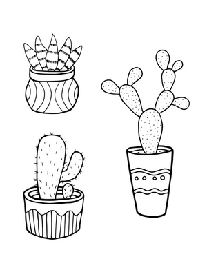 Lovely Cactus Planters