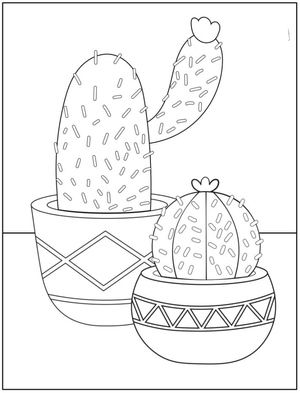 Pair of Cacti in Pots