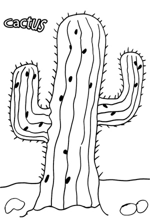 Spiky Succulent