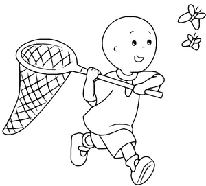 Caillou Catches Butterflies