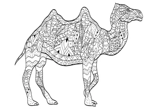 Easy Camel Mandala Coloring Page