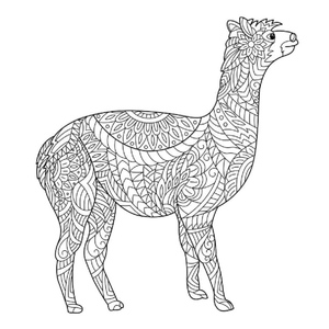 Happy Camel Mandala