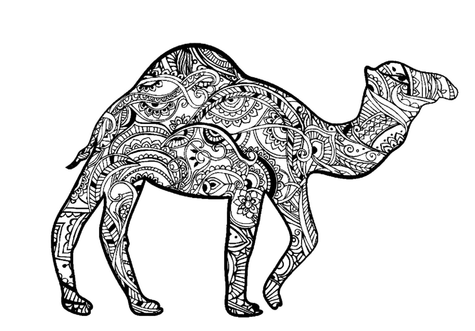 Mandala of a Walking Camel Coloring Page