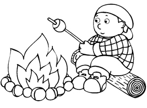 Toasting Marshmallows over the Campfire
