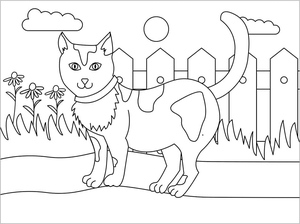 Primary Feline