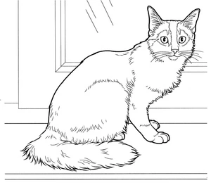 Sleek Somali Cat Coloring Page