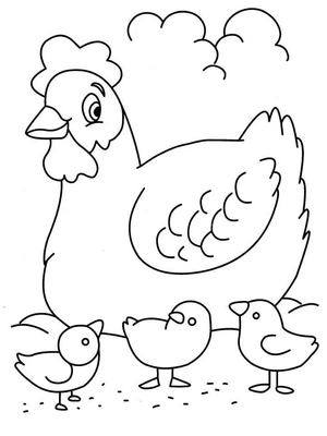 Hen Cartoon Coloring Page