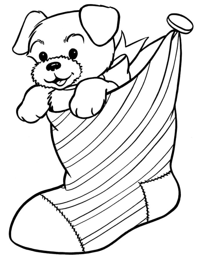 A puppy wearing a sock Coloring Page