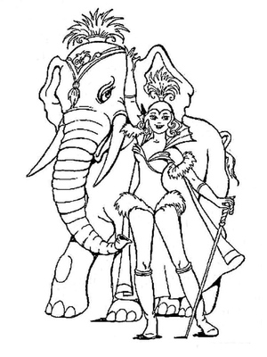 Circus