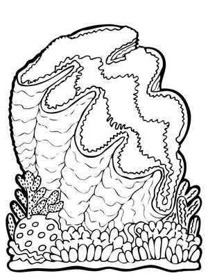 Giant Clam Coloring Page