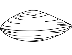 Simple Clam Coloring Page
